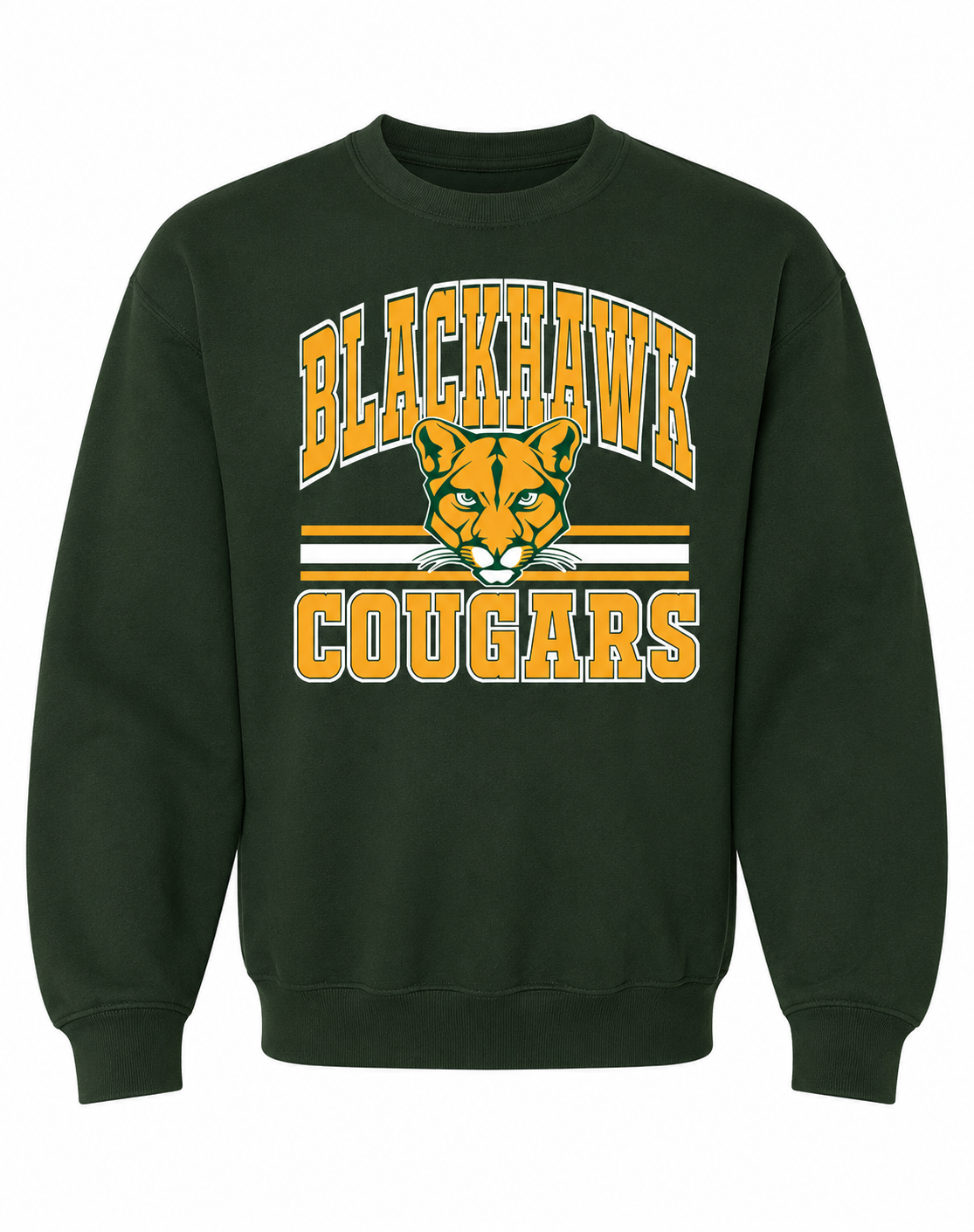 Blackhawk Mascot
