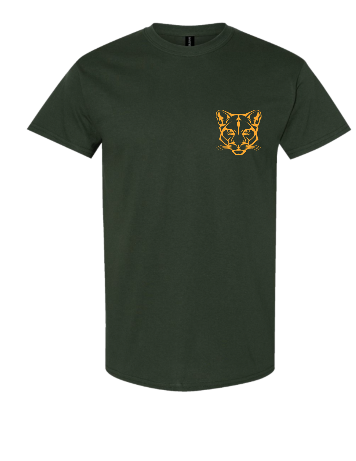 PPS - Cougar Pride